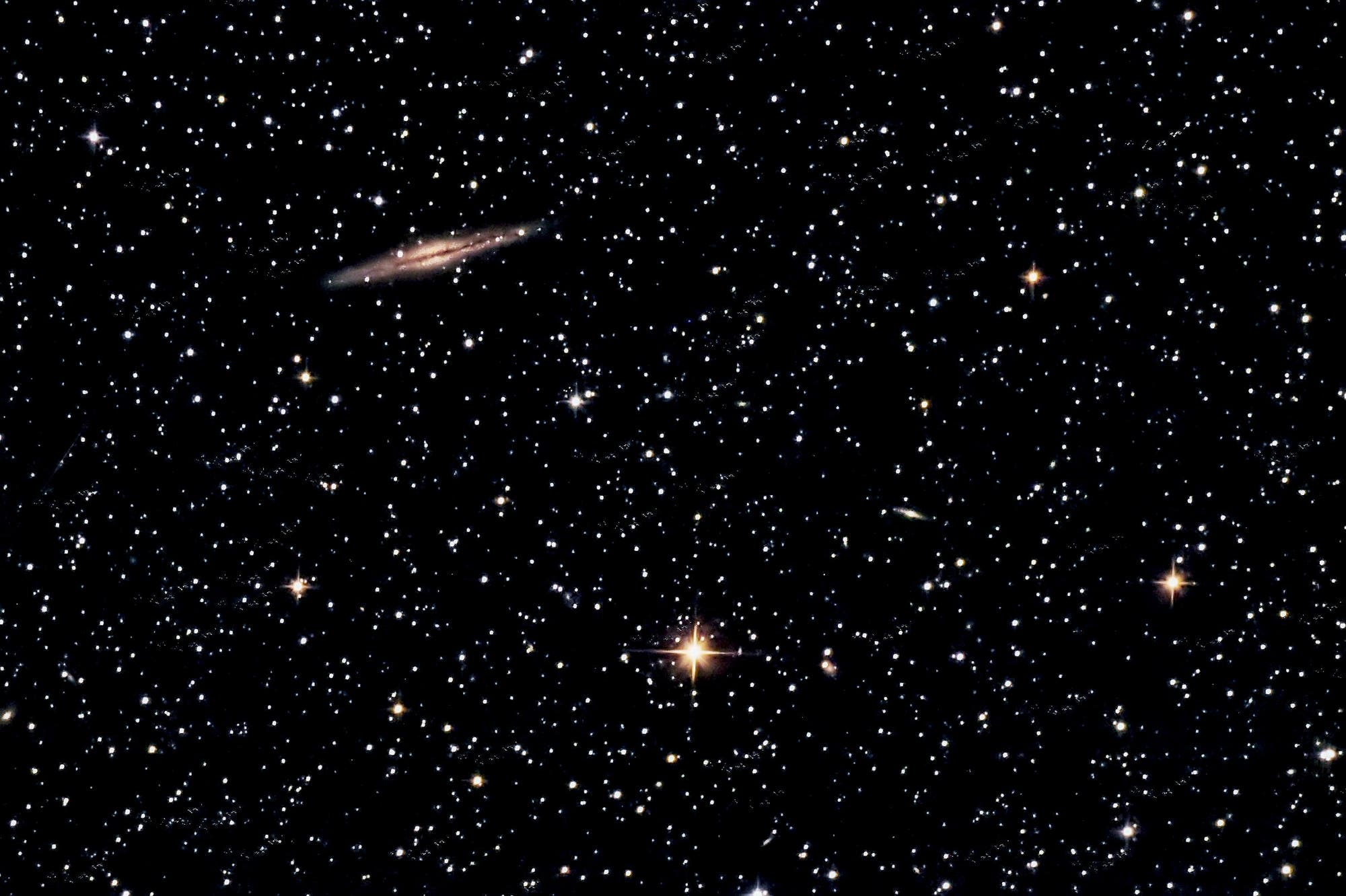 NGC 891 Spektrum der Wissenschaft